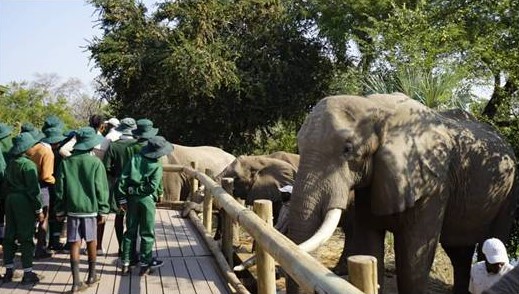 Ausflug Elefanten